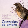 Zorzales De Antaño - Anibal Troilo Pichuco - Sin Palabras