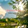 Relaxation Series Deep Focus Music