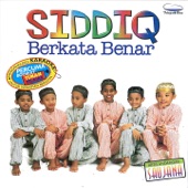 Berkata Benar (feat. Saujana) artwork