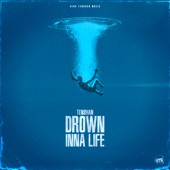 Drown Inna Life artwork