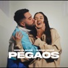 Pegaos - Single