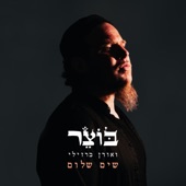 שים שלום artwork