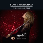 Andrea Brachfeld - Descarga Son Charanga