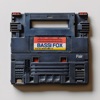 Bassi Fox - Fair