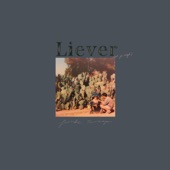 Liever (Dat Je Liegt) [Demo] artwork