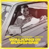 Walking on Sunshine (Remixes) - Single