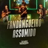 Fandangueiro Assumido (Ao Vivo) - Single, 2024