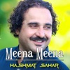 Meena Meena - Single