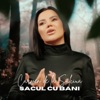 Sacul cu bani - Single