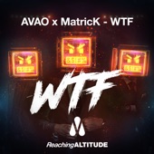 WTF (Extended Mix) artwork