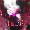 Too Late (Remix) - Single album lyrics, reviews, download