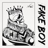 Fake Boy - Single