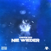 Nie Wieder artwork