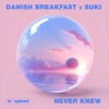 Never Knew - Single