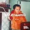 Sky Roaming, 2024