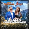 Almas Inseparables - Single