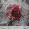 Roser på graven by Jonas Benyoub iTunes Track 1