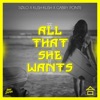 All That She Wants - Single