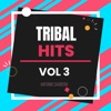 Tribal Hits Vol. 3