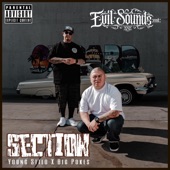 Young Stilo - SECTION
