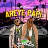 Areye Papi (feat. Jelly Babie, Tshego Dee, Tskay de Musiq & Ocean Biller) - Single