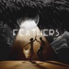 Feathers - Single