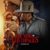 El Niño de Los Copales - Single