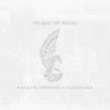 Peace of Mind (feat. KAATWALK) - Single