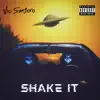 Shake It (Bussdown) song lyrics