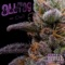 Alltag - Dalì lyrics