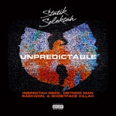 Unpredictable (feat. Inspectah Deck & Method Man) artwork