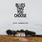 Steve Shanholtzer - Blues That You Choose