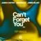 Can’t Forget You (feat. James Blunt) [James Carter VIP Remix] cover