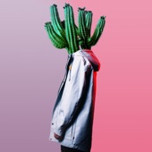 Cactus Dream artwork