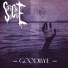 Goodbye - Single