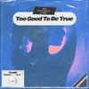 Too Good to Be True - Single
