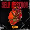 Self Destroy - Single album lyrics, reviews, download