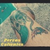 Perros Calientes - Single