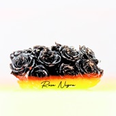 Rosa Negra artwork
