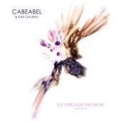 Cabeabel - Fly Through the Night - DnB remix