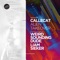 Alien Takeover - Callecat lyrics