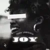 Joy (Radio Edit) - Single album lyrics, reviews, download