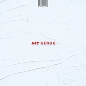 Nie Genug artwork