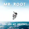 Stream & download You Are My Destiny - Single