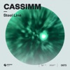 Steel Line - Single