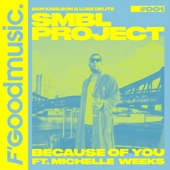 Because Of You (feat. Michelle Weeks) [Club Mix] artwork
