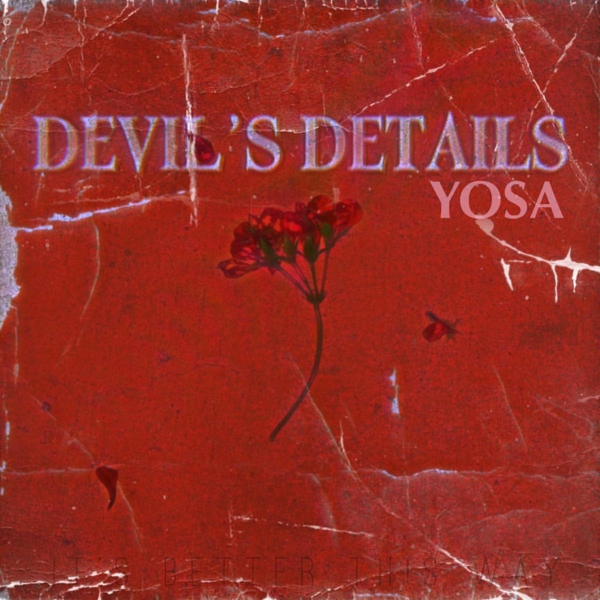 Devil's details. Devils in my details OHGR. Devil in details.