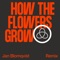 How the Flowers Grow (feat. Pixx) [Jan Blomqvist Remix] artwork