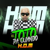 El Toto Pa Cuando artwork