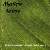 Mystique Nature - Beautifying Nature Melodies, Vol. 5